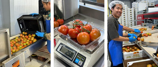 Cómo Kawamata Farms duplicó la producción de tomates y optimizó la mano de obra con Hort Americas