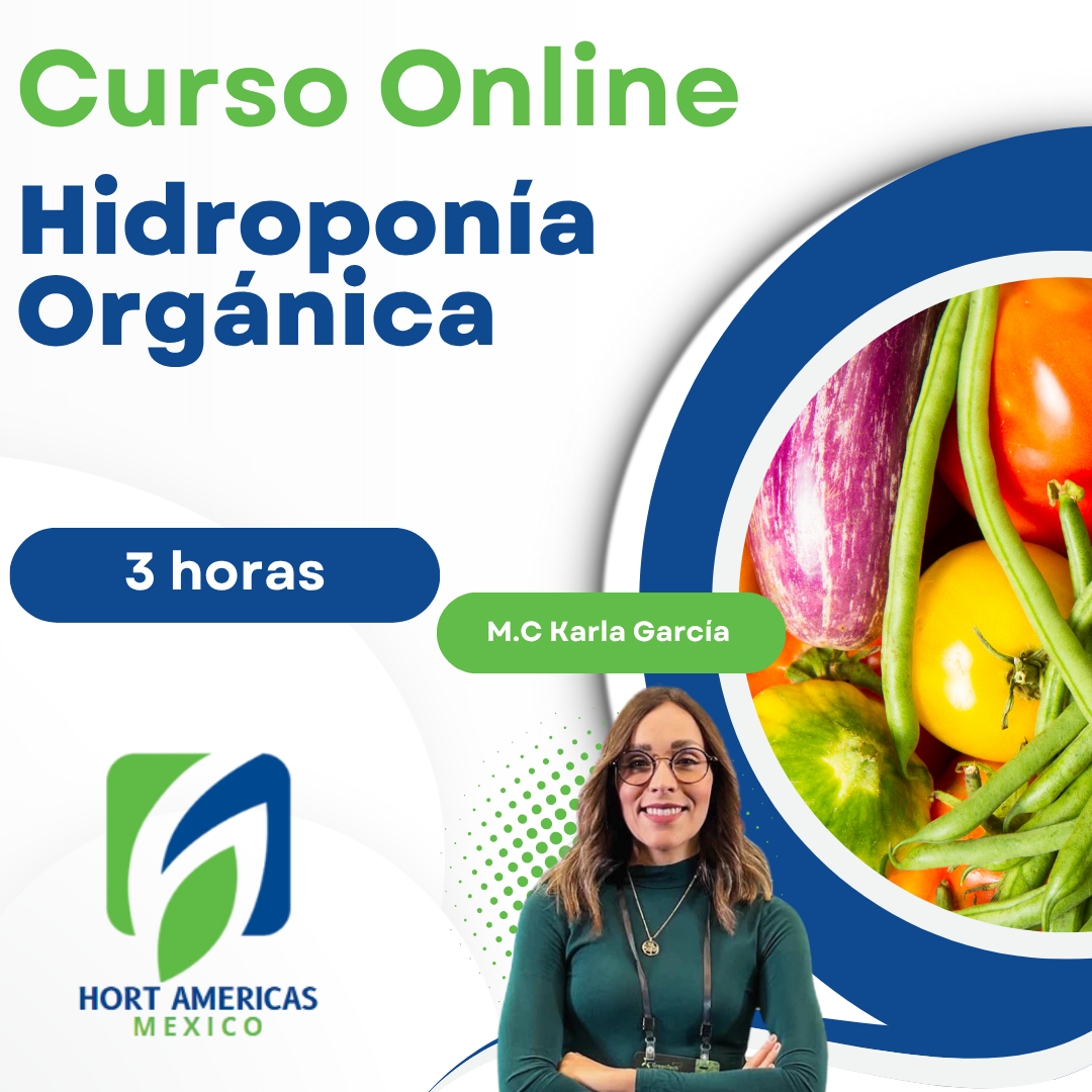Curso Hidroponía Orgánica