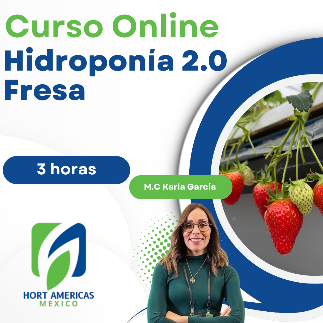 Curso de Hidroponia 2.0 en Fresa