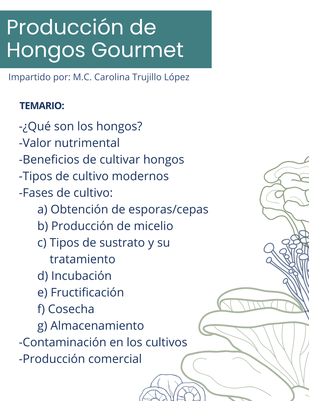 Curso de Hongos Comestibles
