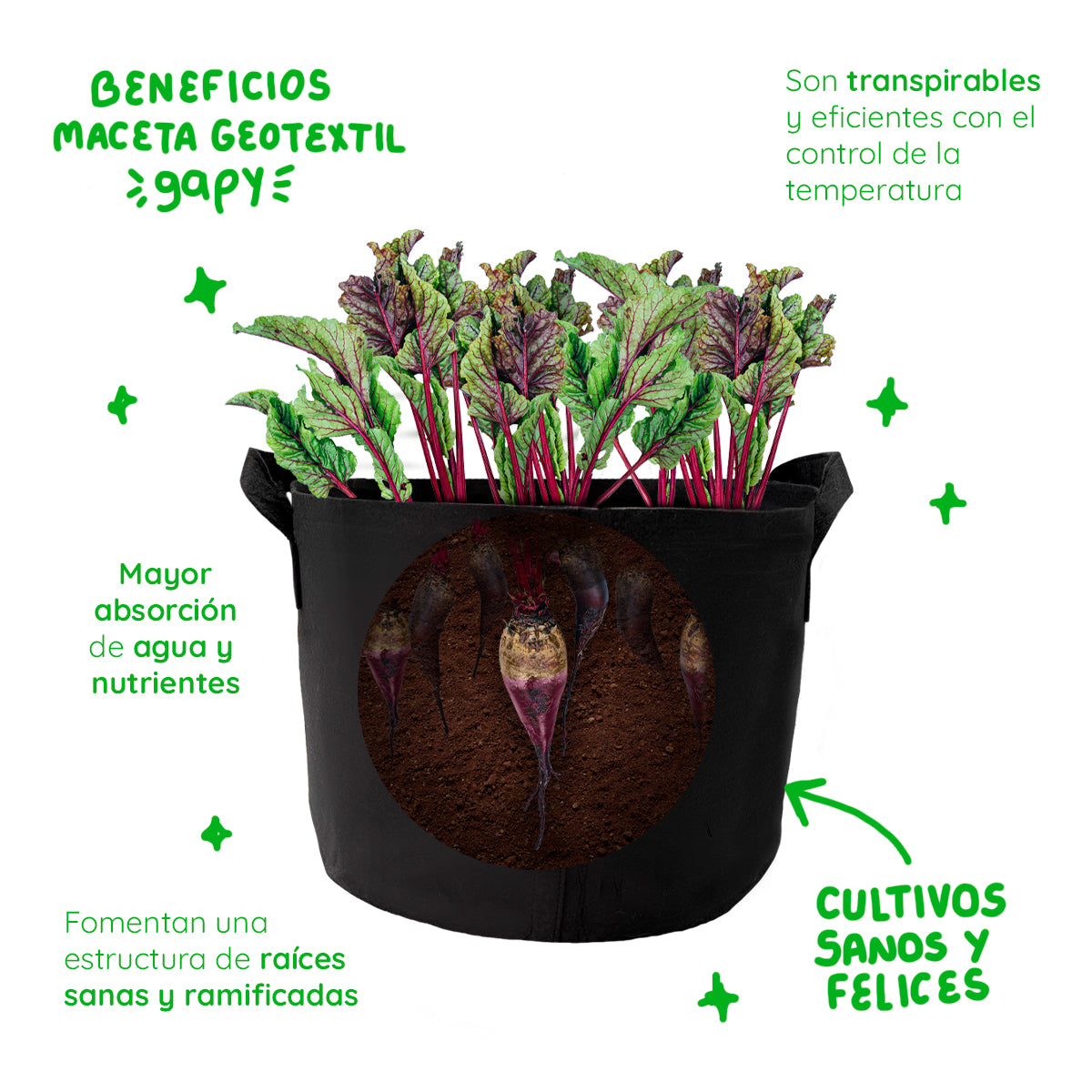 Gapy- MACETAS DE TELA GEOTEXTIL CON VENTANA