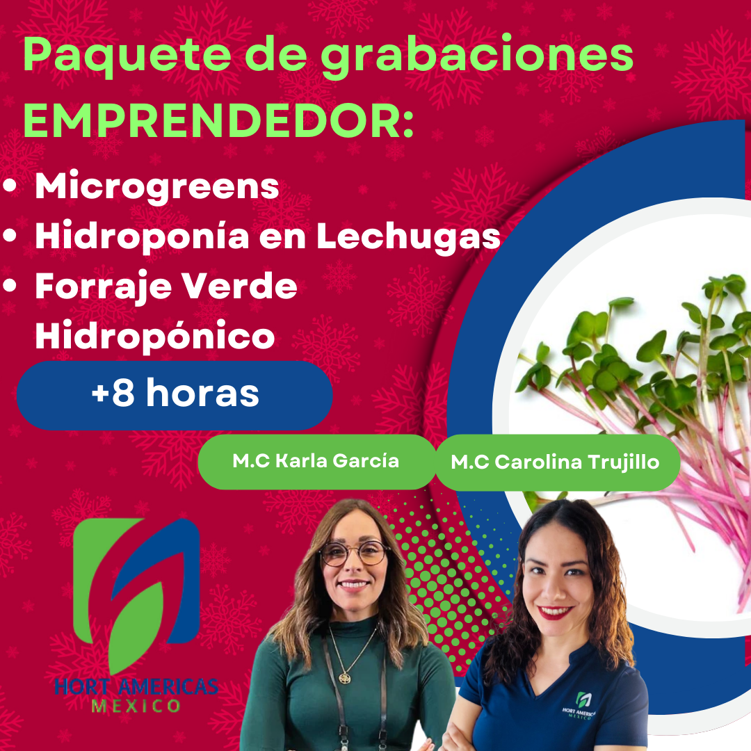 Paquete de grabaciones: Emprendimiento