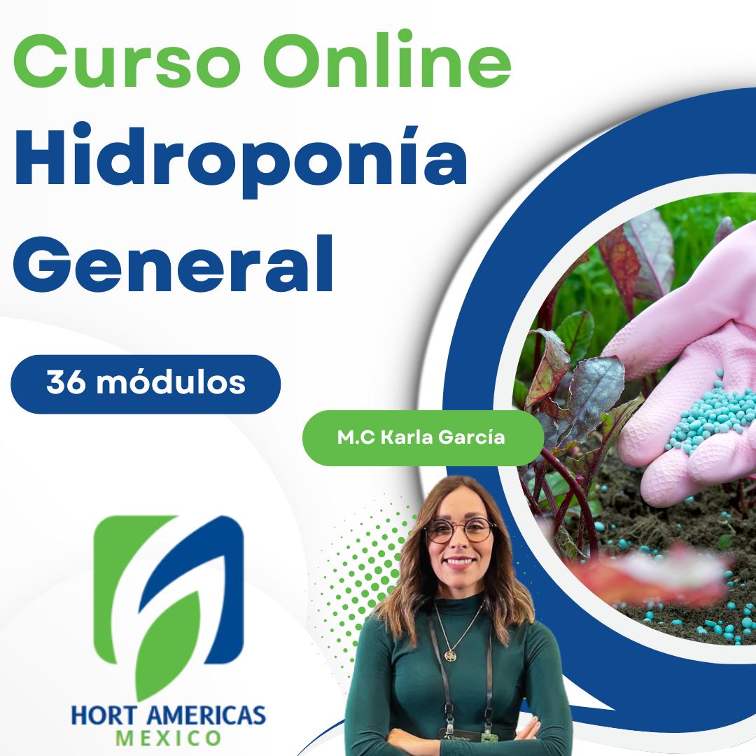 Curso Hidroponia General