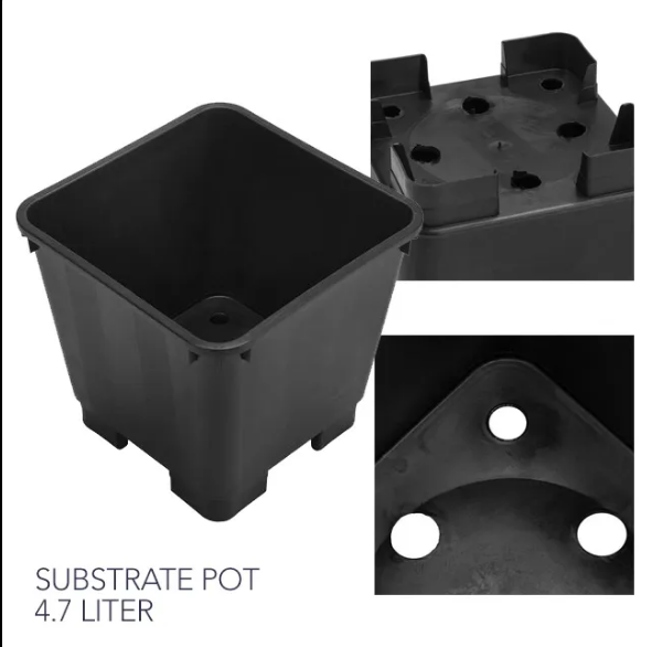 Beekenkamp Raspberry Propagation Pot – 4.7L