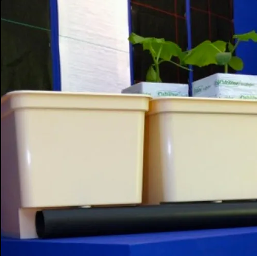 Bato Hydro Trough / Dutch Bucket 11L