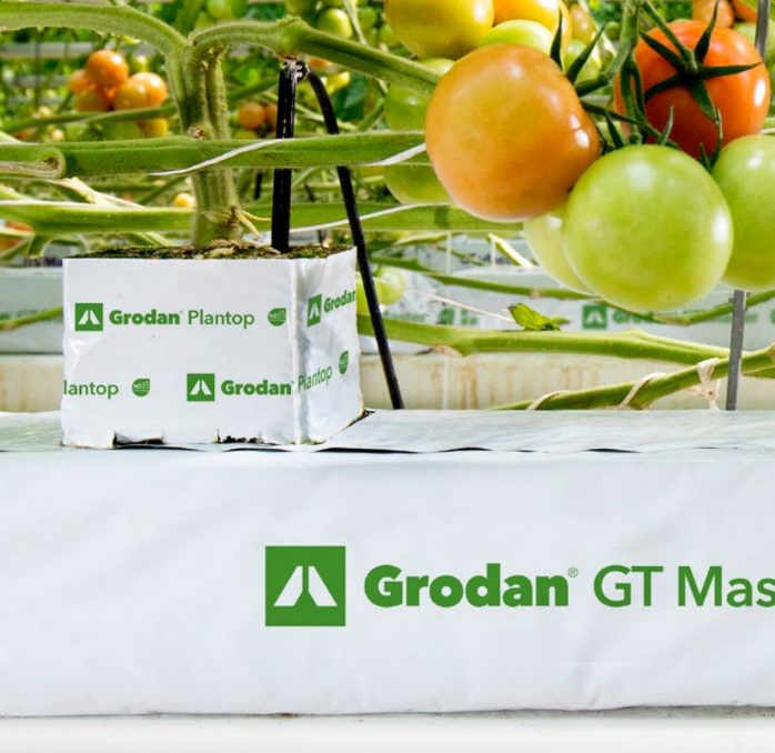 Grodan Plantop Blocks NG2.0