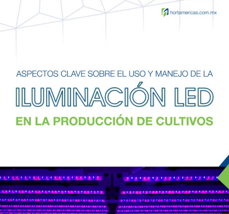 Aspectos Clave sobre el Uso y Manejo de la Iluminación LED en la Producción de Cultivos