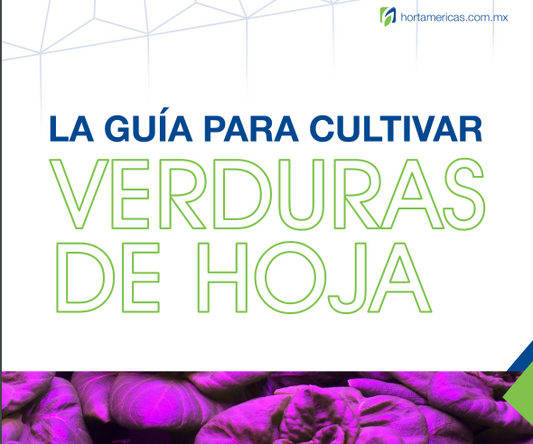 La Guía para Cultivar Verduras de Hojas