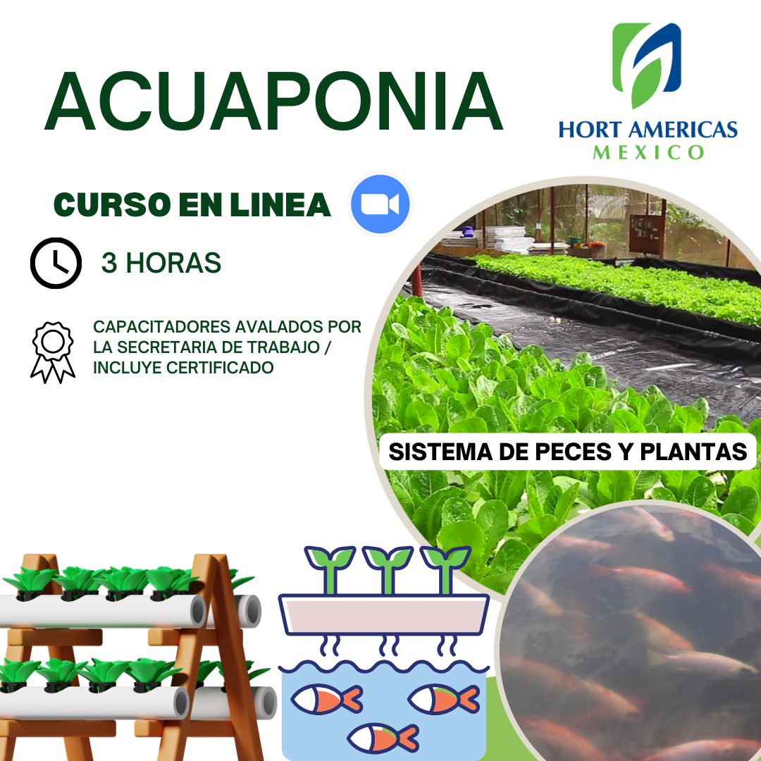 Curso de Acuaponía