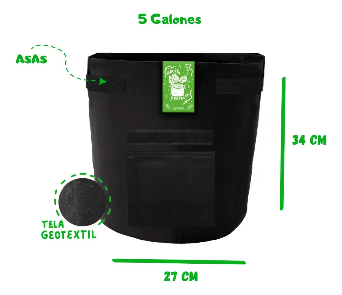 KIT 3 piezas de Maceta 5 Galon con Ventana