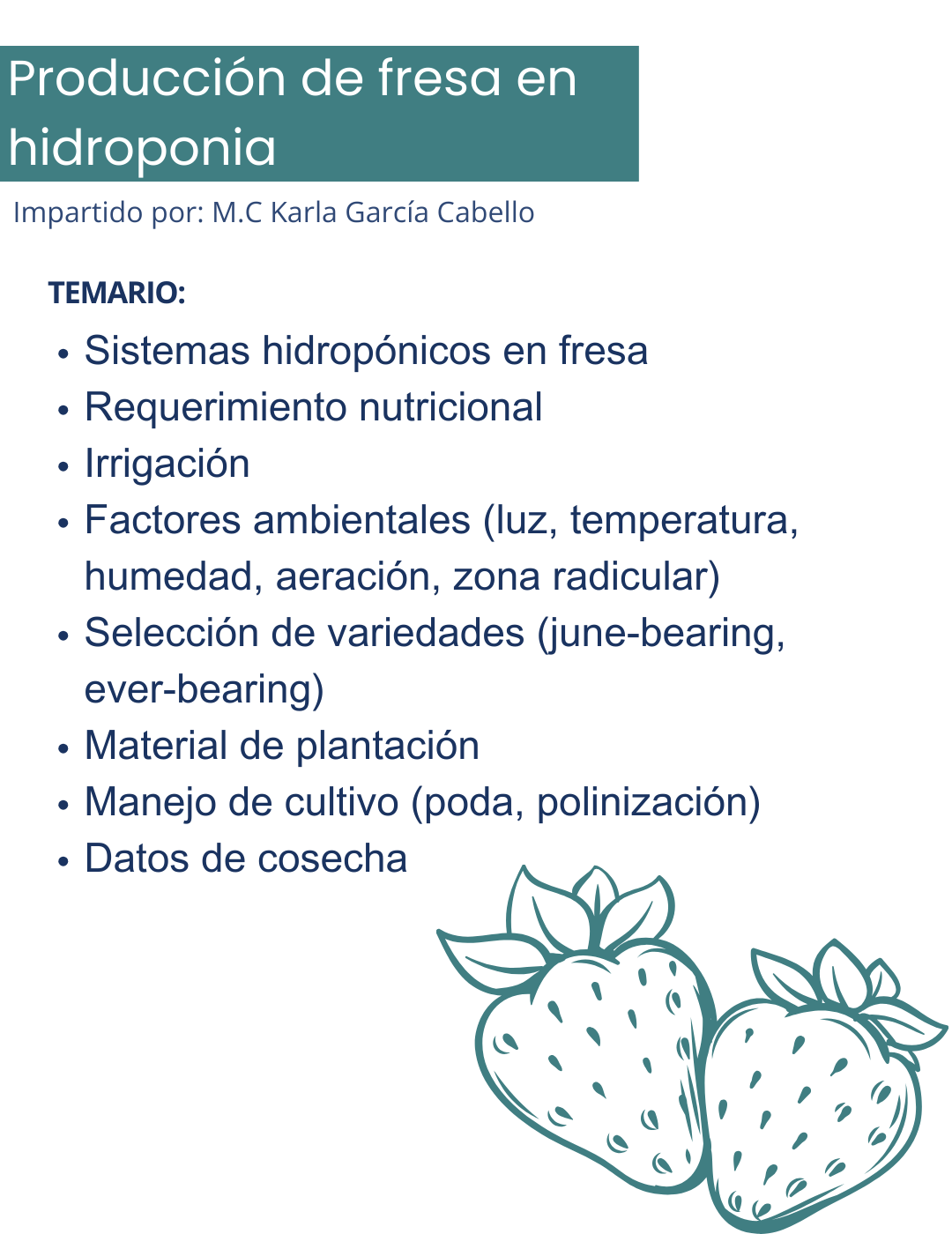 Curso de Hidroponia 2.0 en Fresa