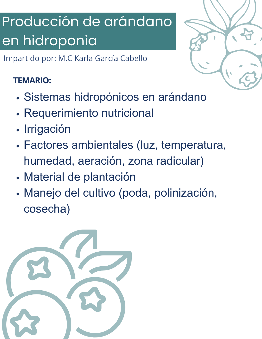 Curso Hidroponía 2.0 en Arándano