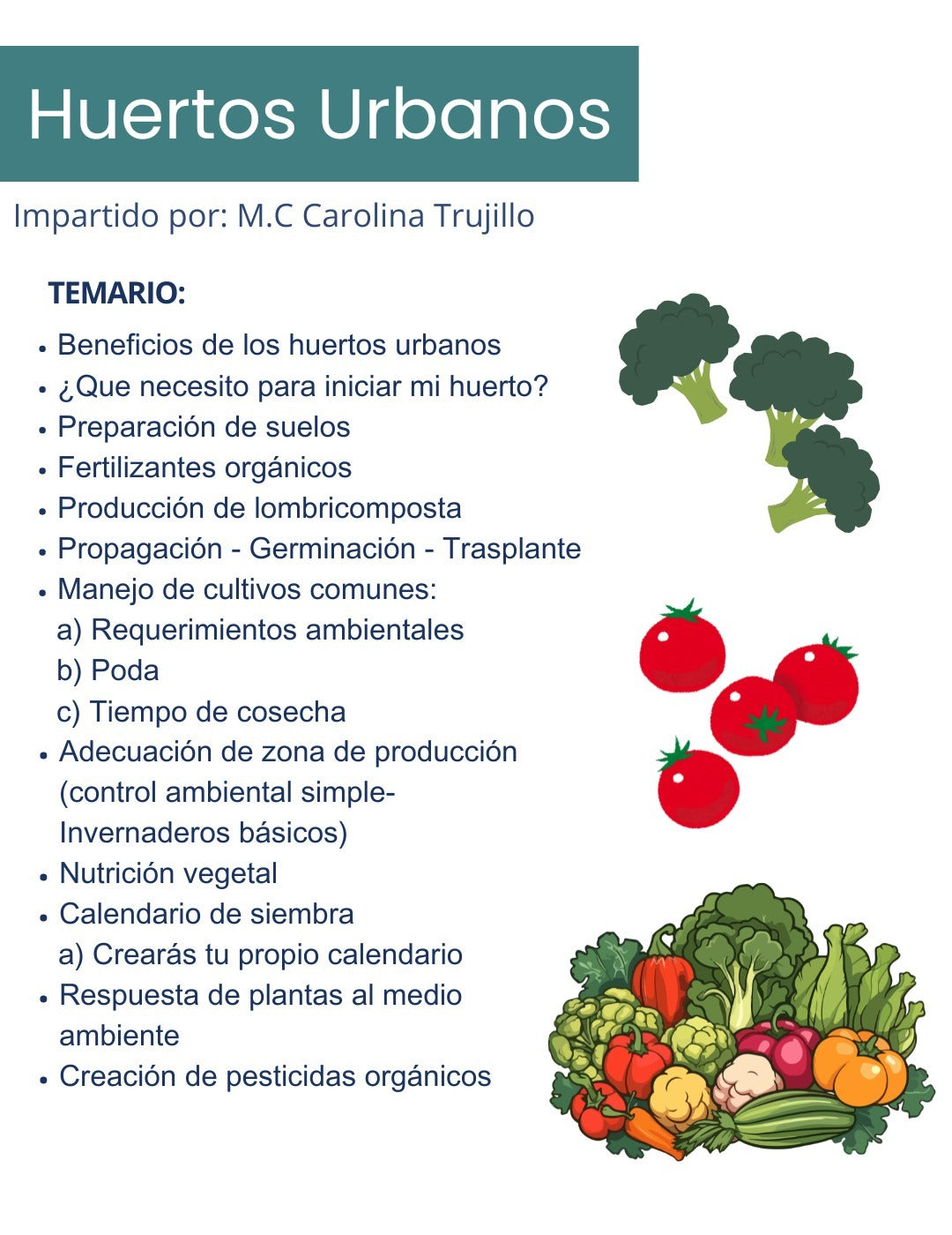 Curso de Huerto en casa