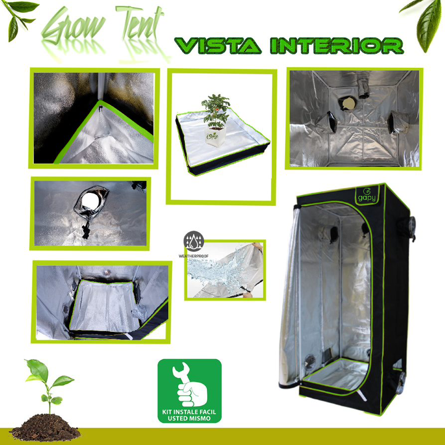 Gapy-GGT-80