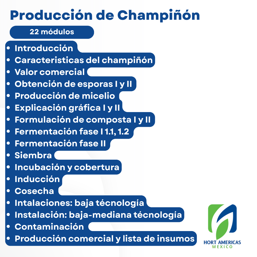 Curso Producción de Champiñón