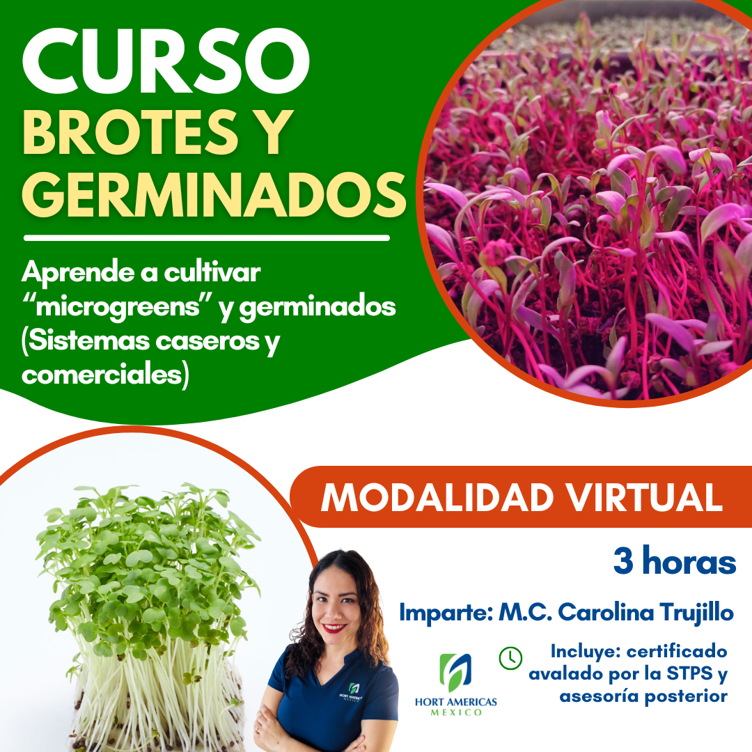 Curso Producción de Microgreens