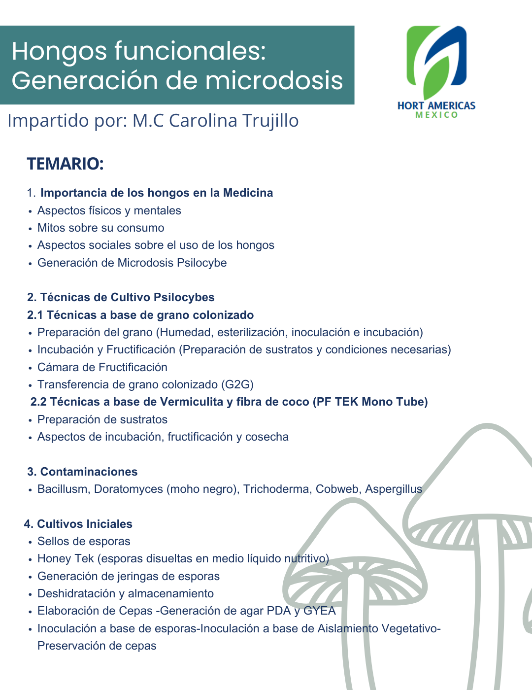 Paquete de grabaciones: Indoor