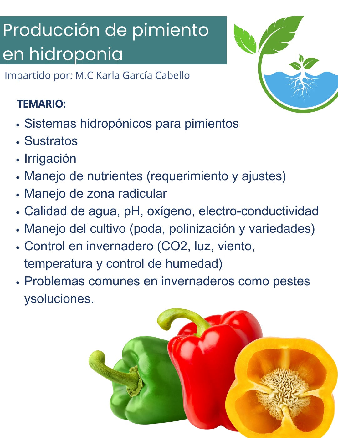 Curso Hidroponia 2.0 Pimiento