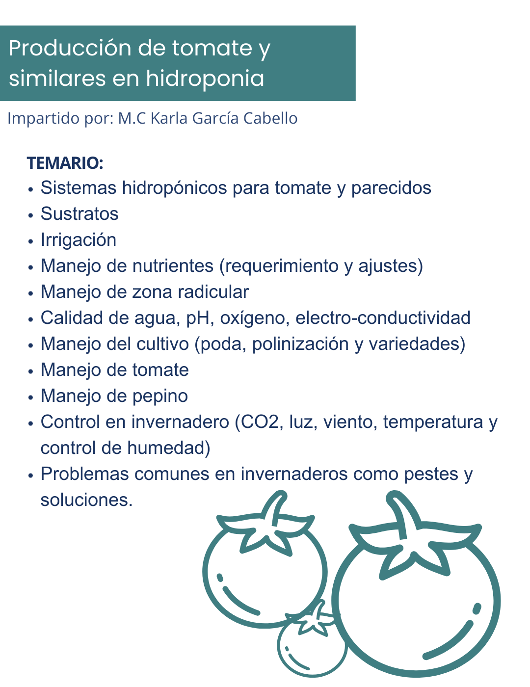 Curso Hidroponia 2.0 Jitomates y parecidos