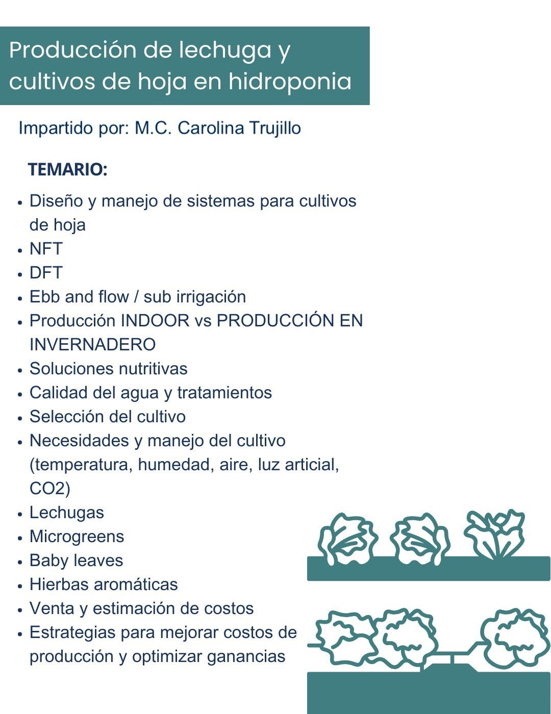 Curso Hidroponía 2.0 Lechugas y Hojas Verdes
