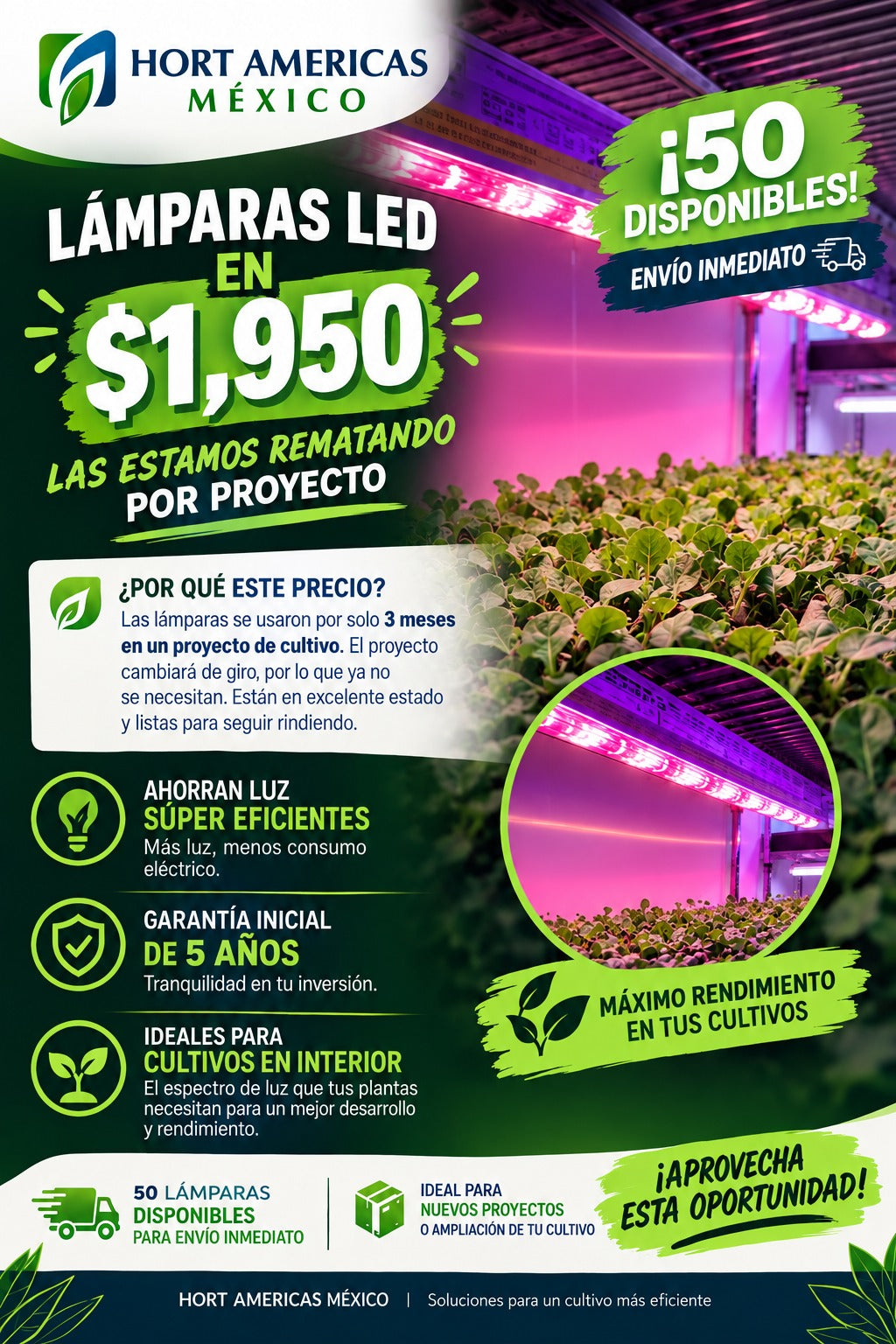 ARIZE® Life2™( promoción)