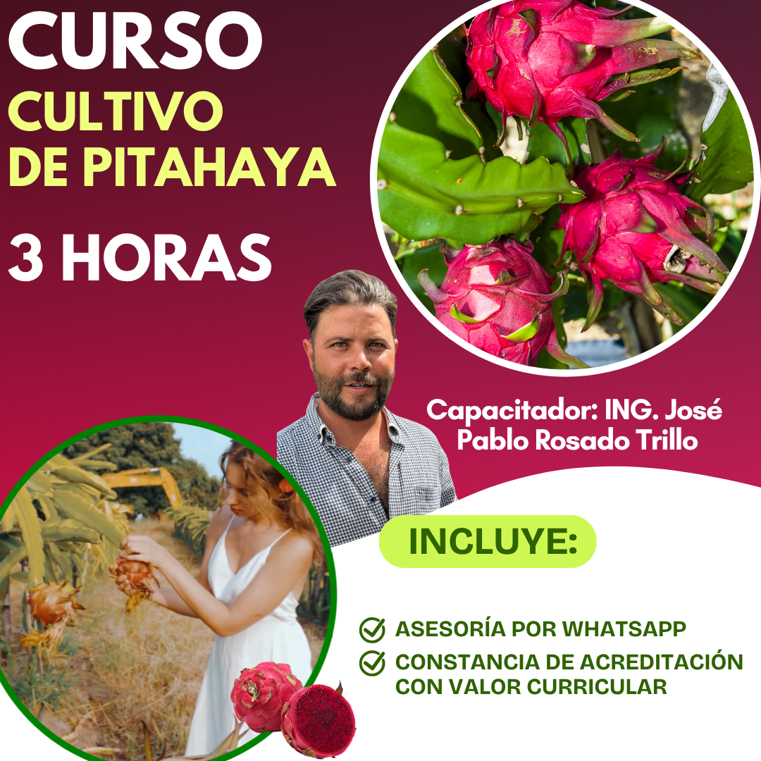 Curso Producción de Pitahaya