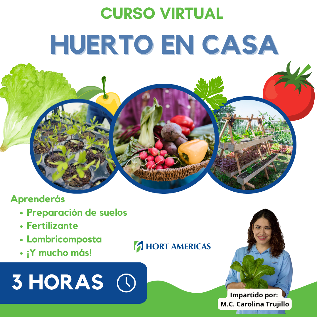 Curso de Huerto en casa