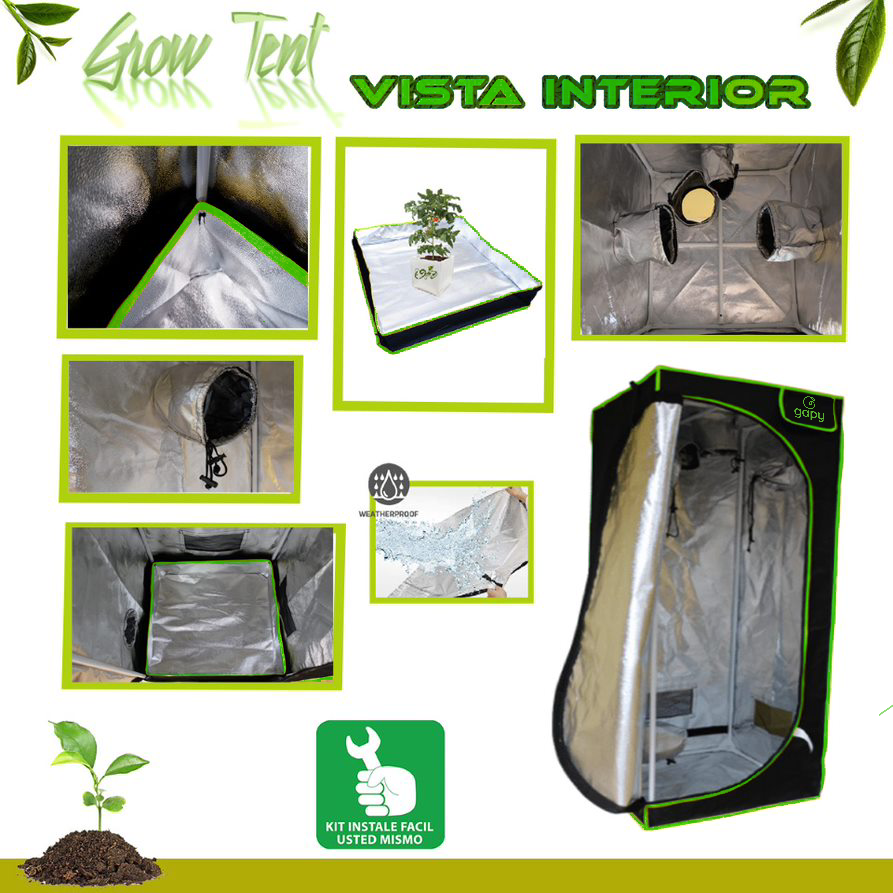 Gapy-GGT-60
