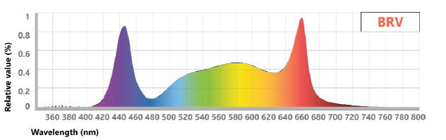 Arize® Element L1000 Next-Gen