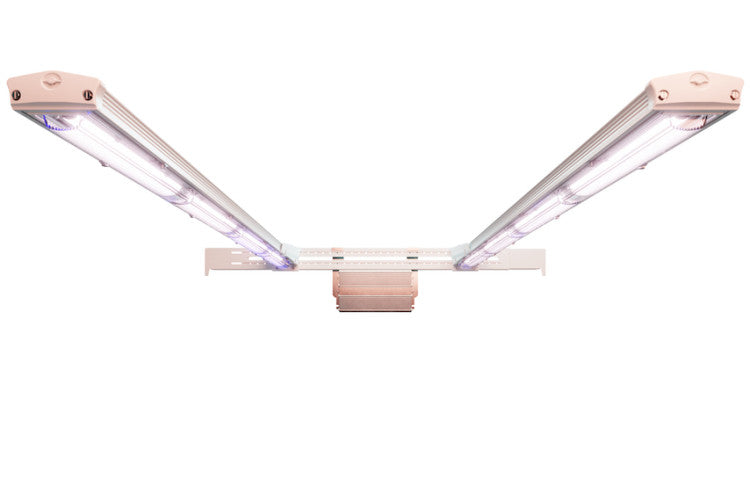 ARIZE® Factor ML900