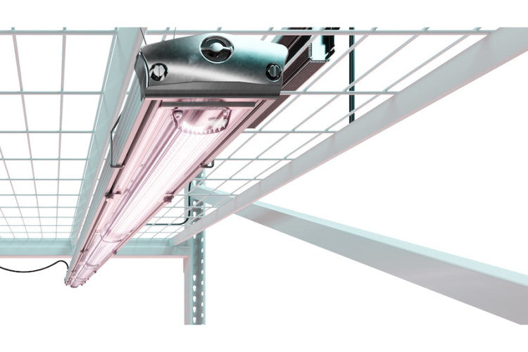 ARIZE® Factor ML900
