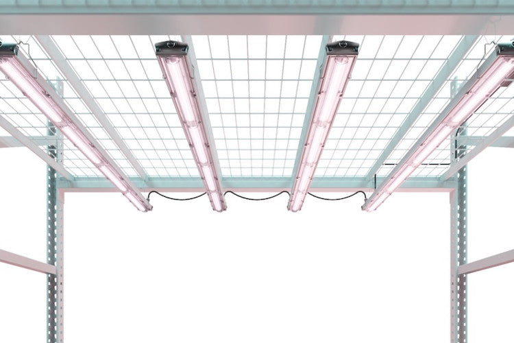 ARIZE® Factor ML900