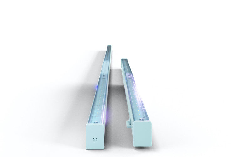 ARIZE® Life2™