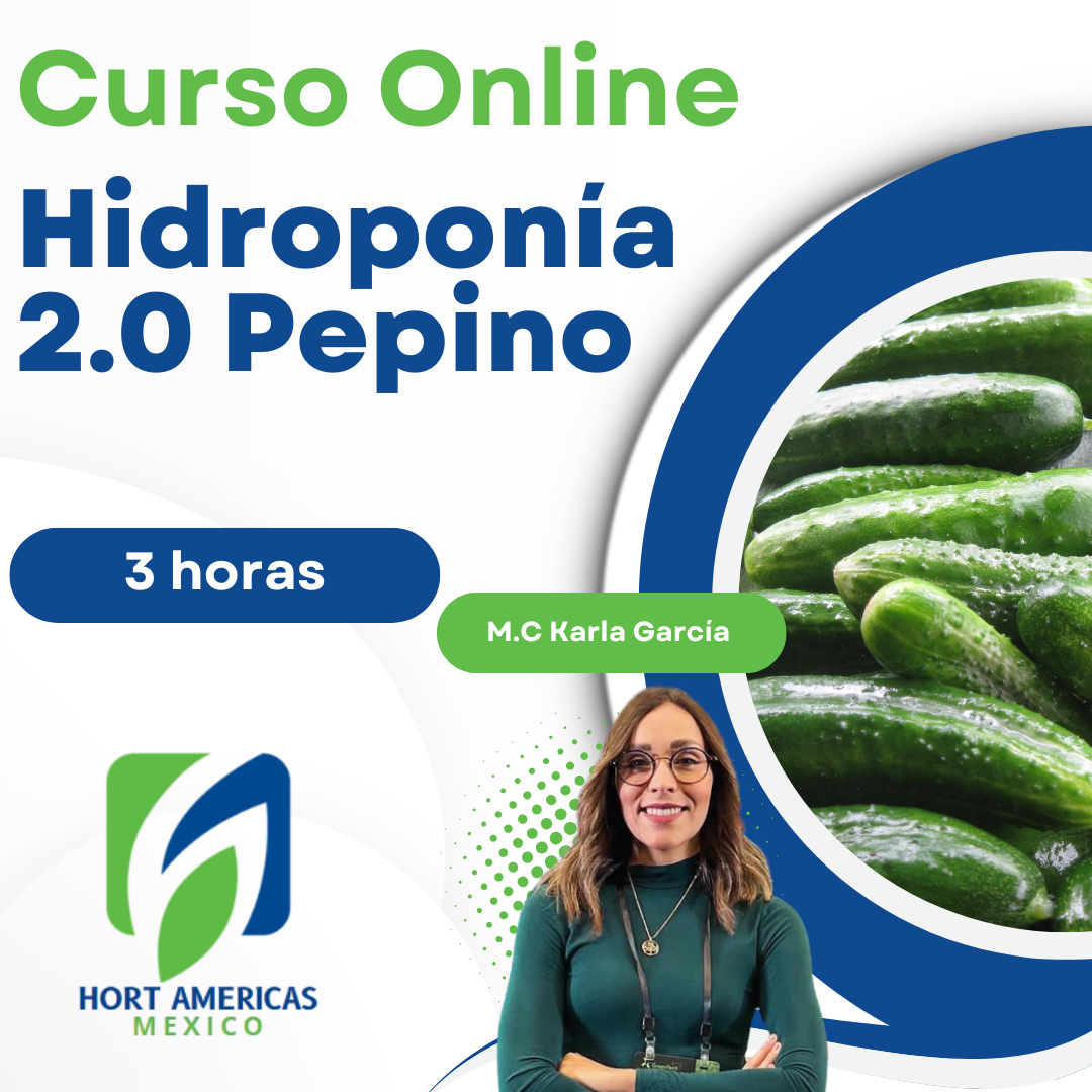Curso Hidroponia 2.0 Pepino