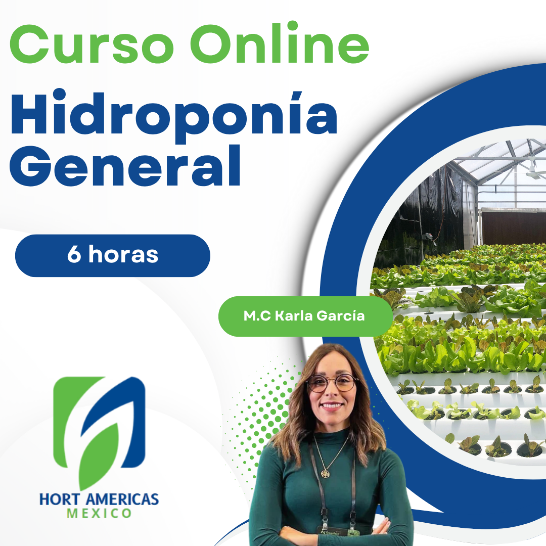 Curso Hidroponia General