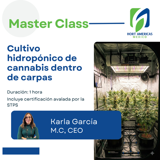 MASTERCLASS: CULTIVO HIDROPÓNICO DE CANNABIS EN CARPA