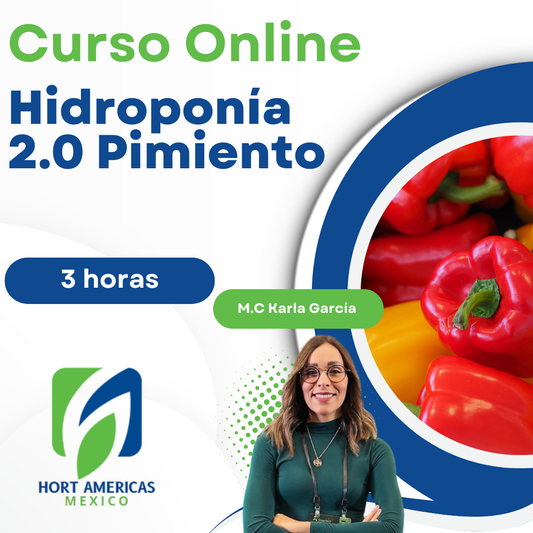 Curso Hidroponia 2.0 Pimiento