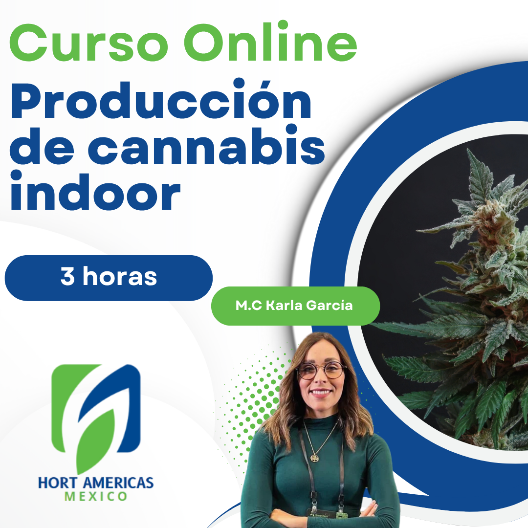 Curso de Producción de Cannabis Indoor