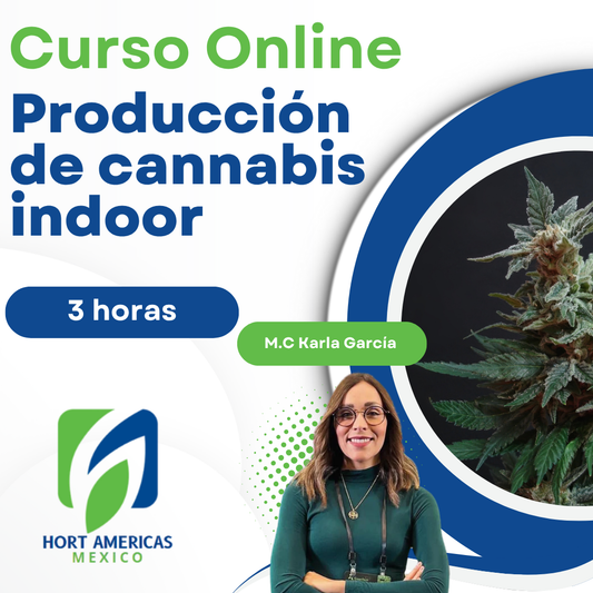 Curso de Producción de Cannabis Indoor