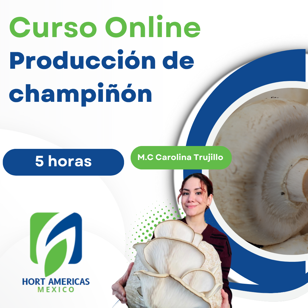Curso Producción de Champiñón