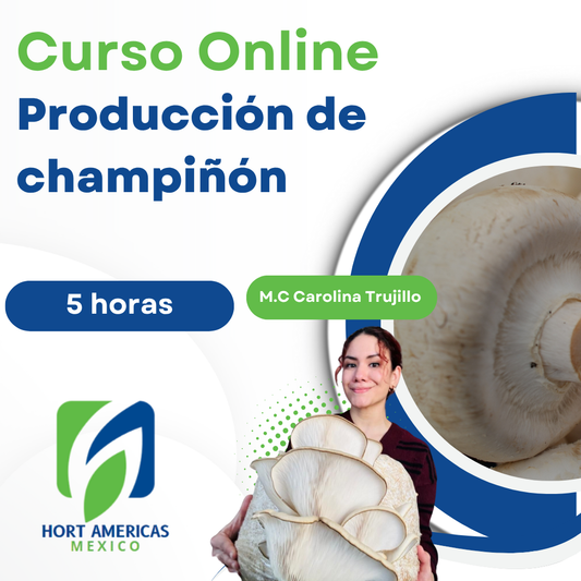 Curso Producción de Champiñón