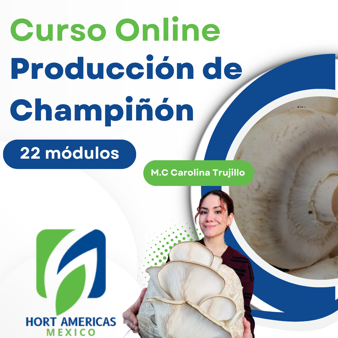Curso Producción de Champiñón