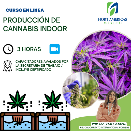 Curso de Producción de Cannabis Indoor