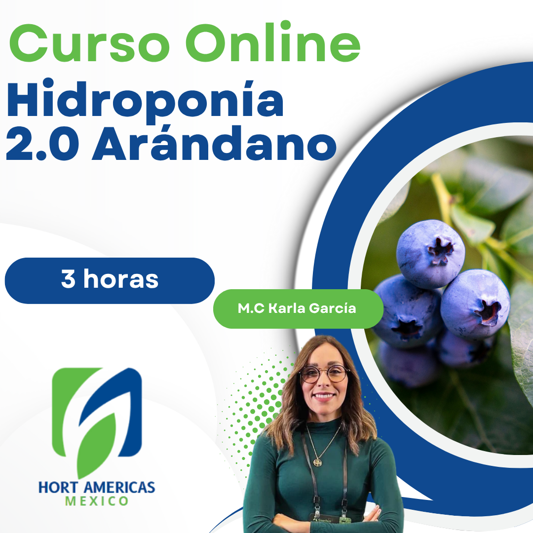 Curso Hidroponía 2.0 en Arándano