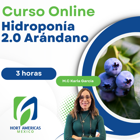 Curso Hidroponía 2.0 en Arándano