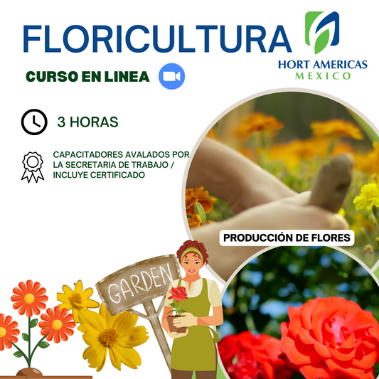 Curso de Floricultura