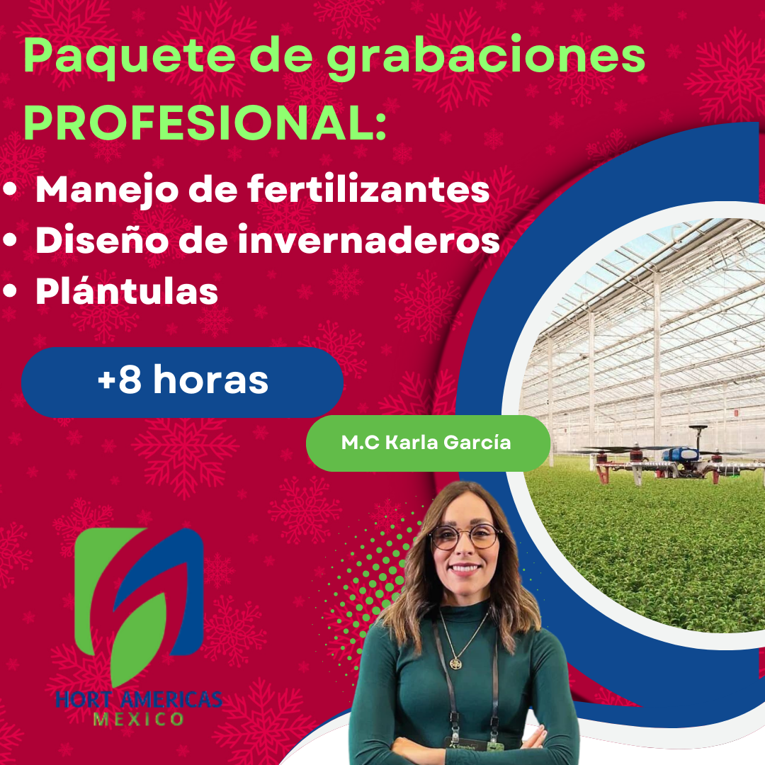 Paquete de grabaciones: Profesional