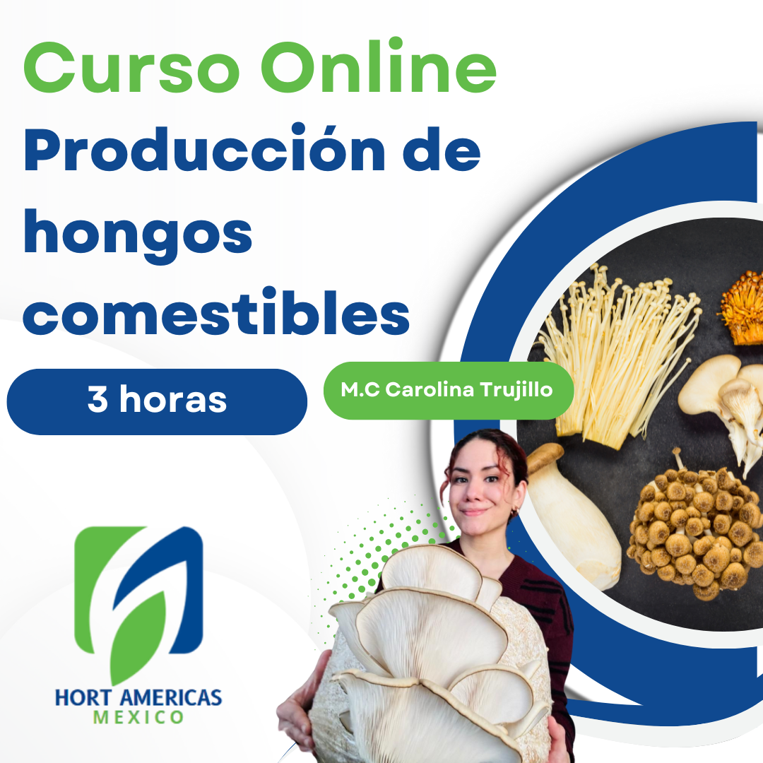 Curso de Hongos Comestibles