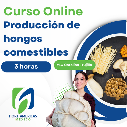 Curso de Hongos Comestibles