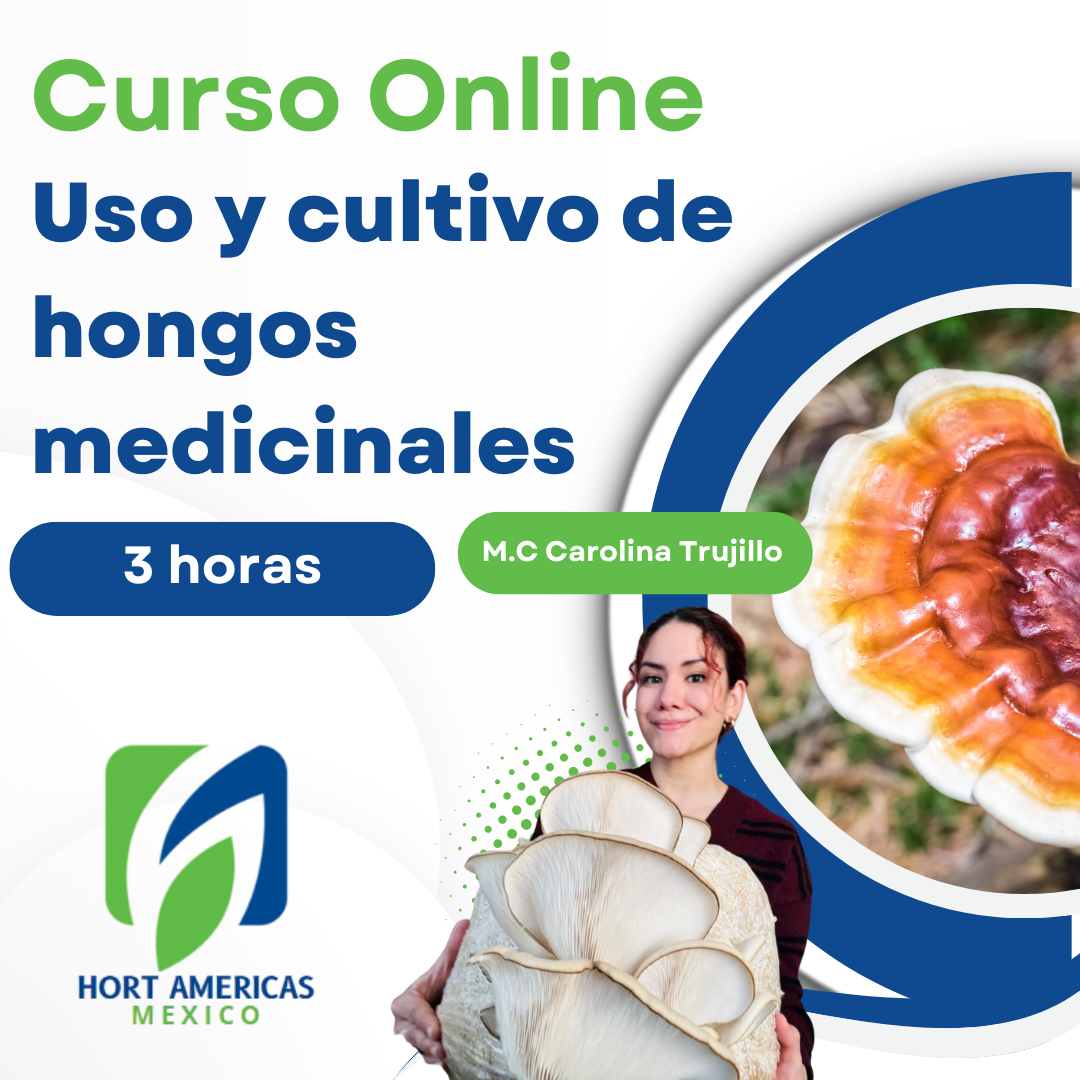 Curso Uso y Cultivo de Hongos Medicinales